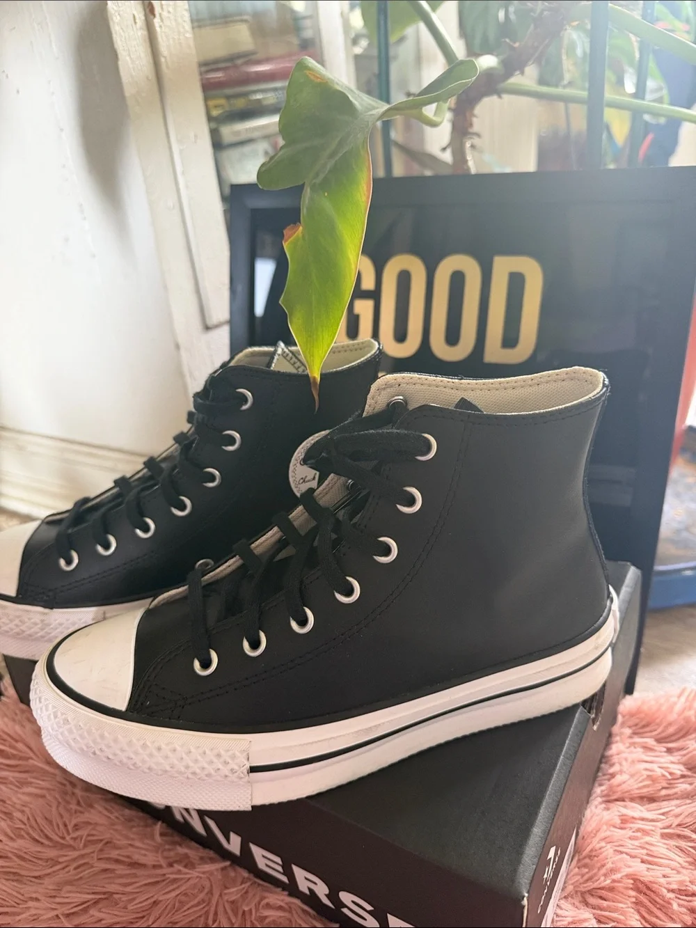 Converse these kid
